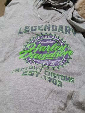 Harley-Davidson Gray Tee Hoodie with Green and Purple Logo